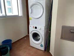 The Floravale (D22), Condominium #571559341